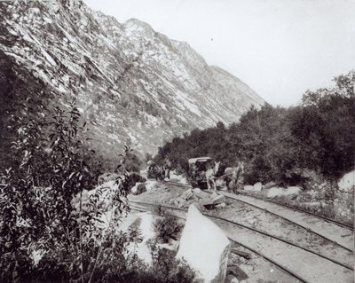 Mule railway in North America, late 19th century by American Photographer
